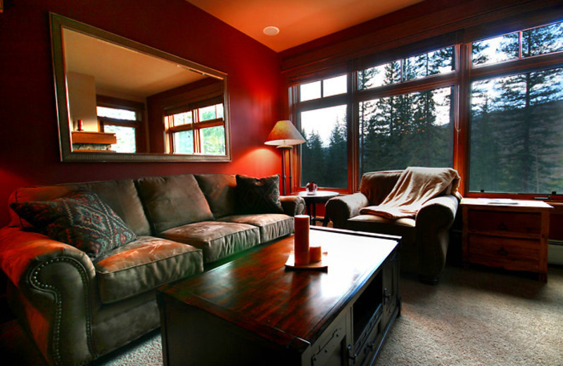 Vacation rental living room at SummitCove.