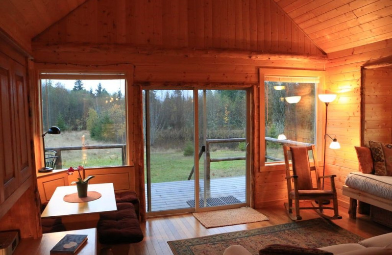 Cabin living room at Olympic View Cabins.