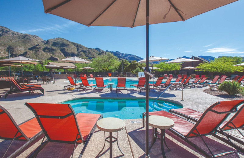 Outdoor pool at The Lodge at Ventana Canyon.