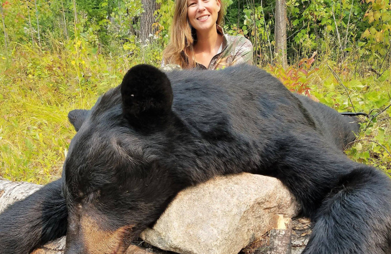 Bear hunting at Cliff Lake Resorts.