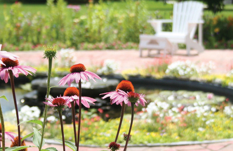 Garden view at Canyon Ranch in Lenox.