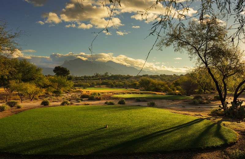 Golf course at Omni Tucson National Resort.