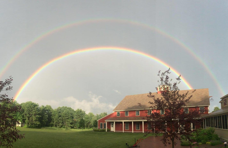 Rainbow at Avaloch Farm.