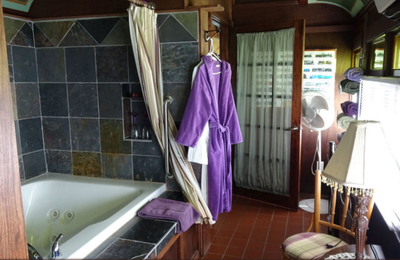 Guest bathroom at Whistle Stop Bed