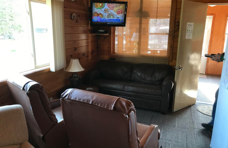 Cabin living room at Pine Tree Cove Resort.