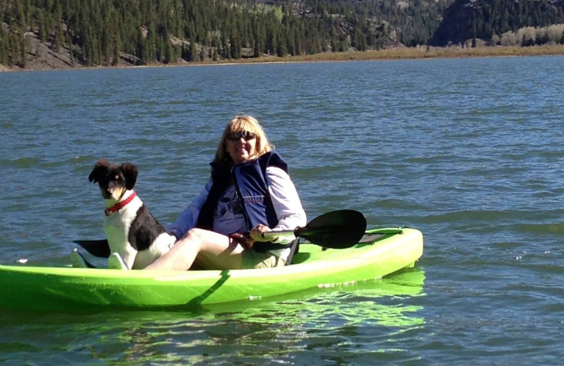 Pets welcome at The North Face Lodge.