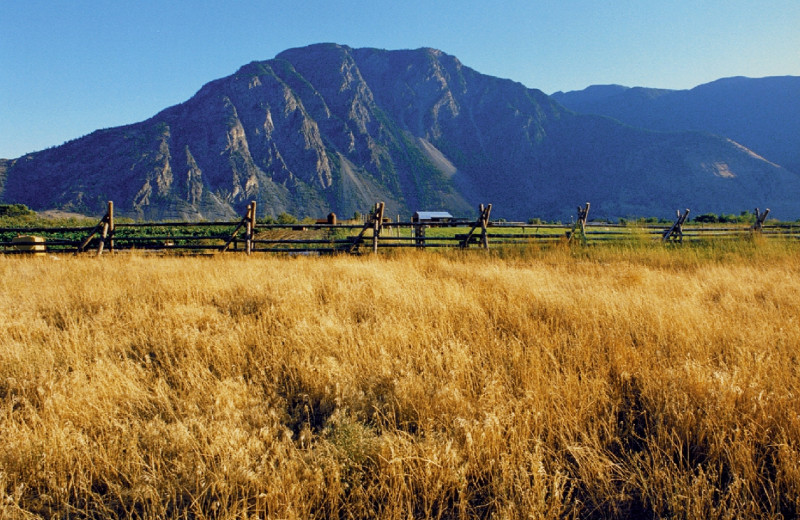 Scenic view at The Wilderness Way Adventure Resort.