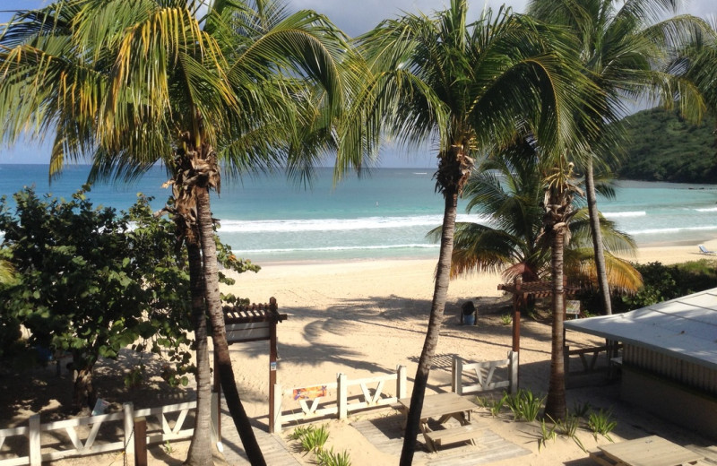 Beach at Culebra Beach Villas.