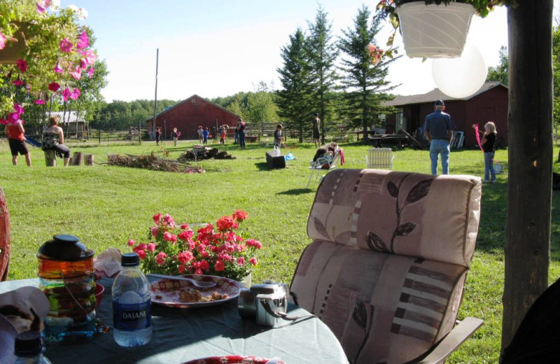 Ranch view at Trailhead Ranch.