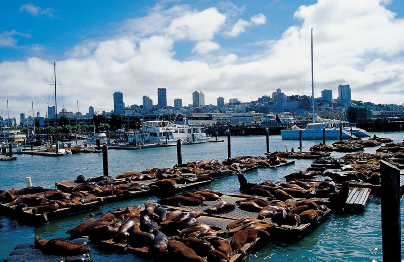Fisherman's Wharf near Radisson Hotel Fisherman's Wharf.