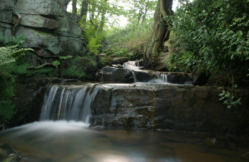 Waterfall at Honeymoon Bay Lodge & Retreat.