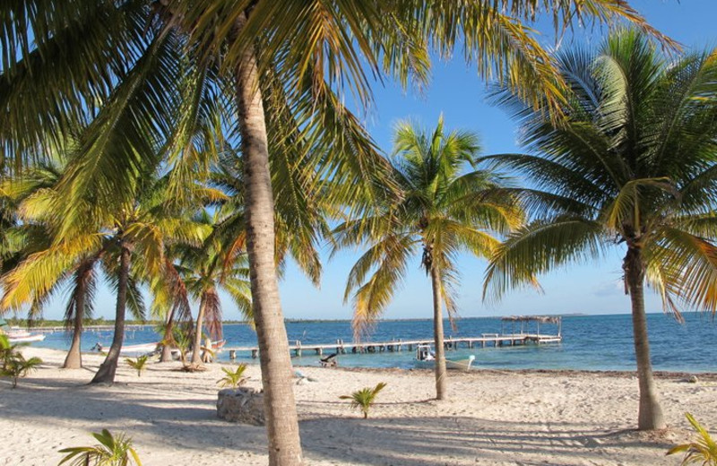 Beach view at Cuzan Guest House.