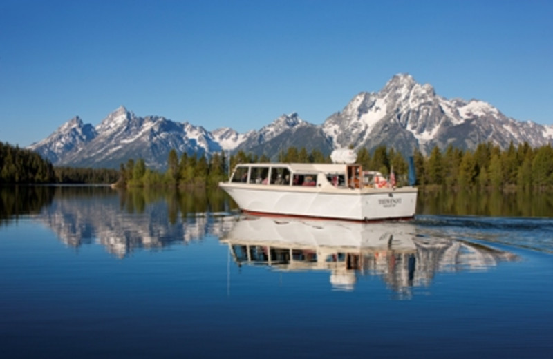 elk lodge jackson hole