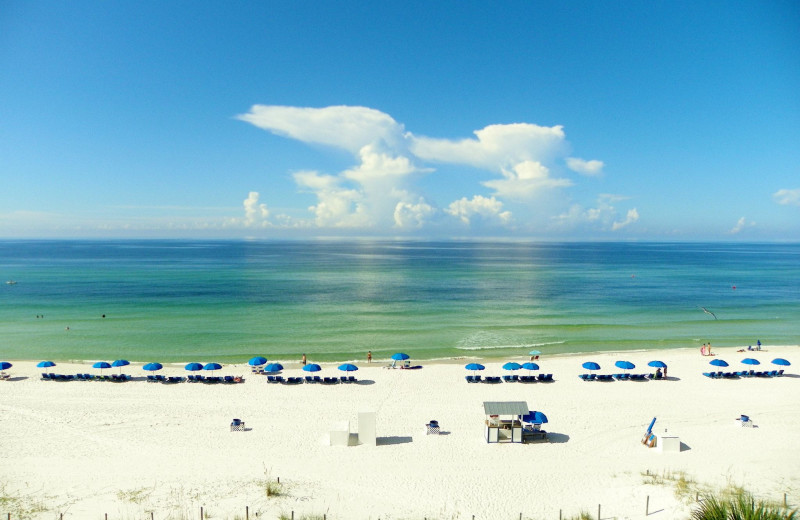 The beach at Osprey Motel & Resort.