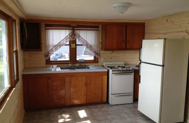 Cabin kitchen at River Bend Resort.