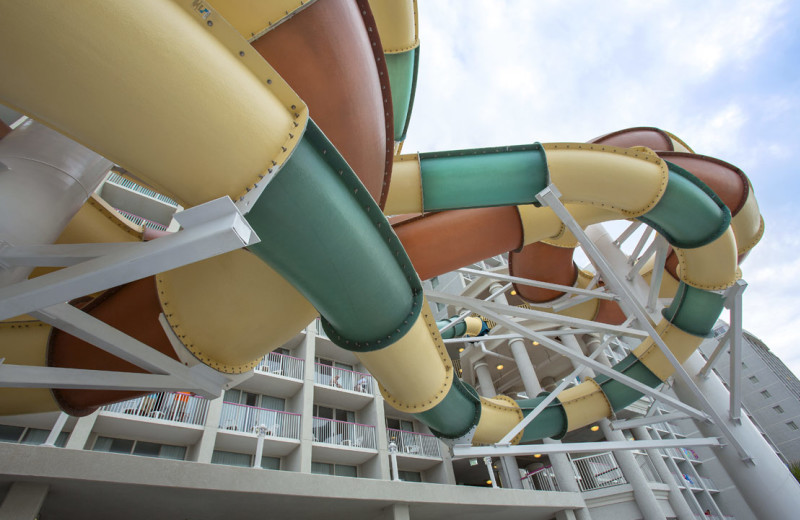 Water slide at Crown Reef Resort.