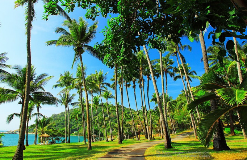 Grounds at Rayong Resort Hotel Beach & Convention Center.