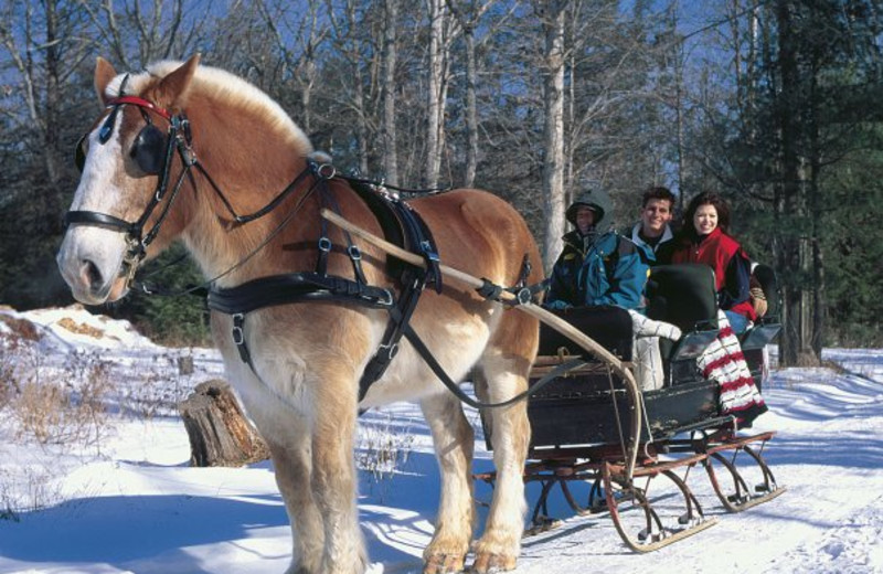 Winter sleigh ride at Cove Haven Resort.