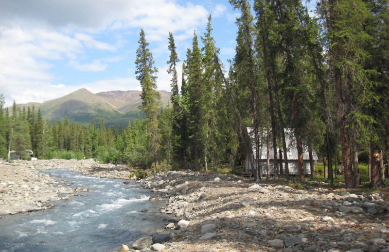 River at Denali Perch Resort.