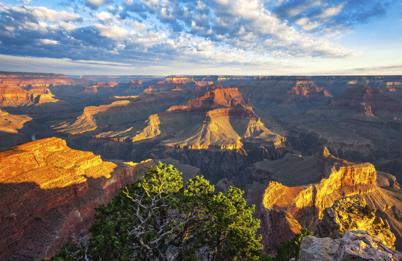 Grand Canyon at Grand Canyon Under Canvas.