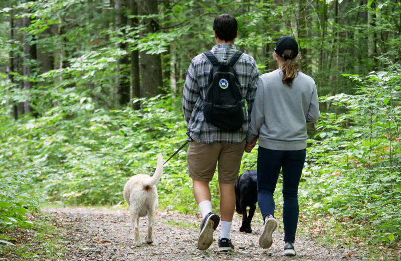 Pets welcome at Waterville Valley.