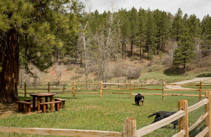 Dog park at O-Bar-O Cabins.