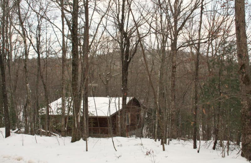 Cabins range in size from 1, 2, 8, 12 or 16 rooms in size! Rent your own private hotel.