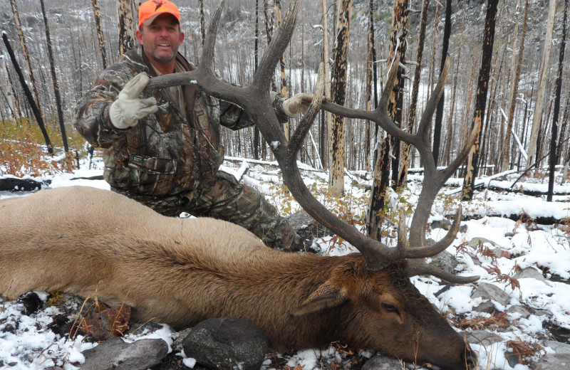 Elk hunting at Kendall Valley Lodge.