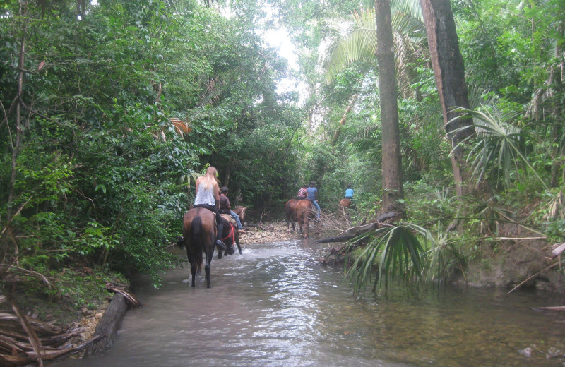 Horseback riding at Banana Bank Lodge.