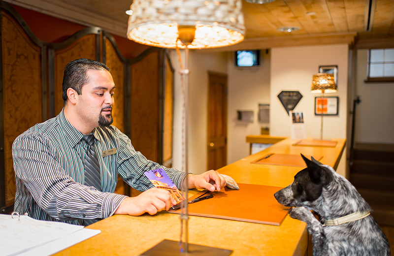 Pets welcome at Eldorado Hotel.