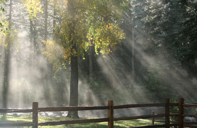 Grounds at O-Bar-O Cabins.