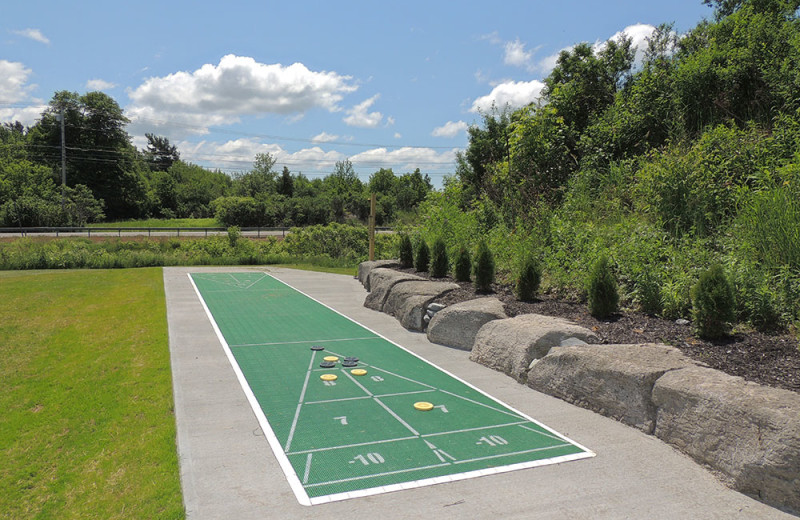 Shuffleboard at Angel Rock Waterfront Cottages.