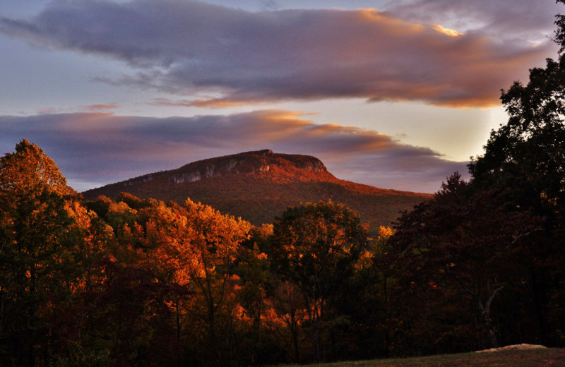 Mountain view at Singletree Gun & Plough.