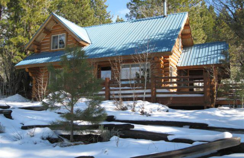 Cabin exterior at Aspen Ridge Resort.