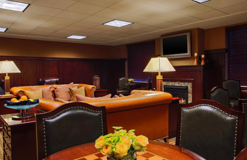 Lounge area at Sheraton Duluth Hotel.