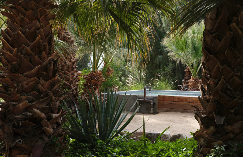 Spa at Two Bunch Palms Resort
