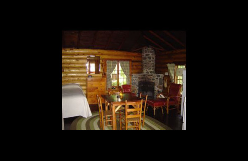 Cabin interior at Nelson's Resort.