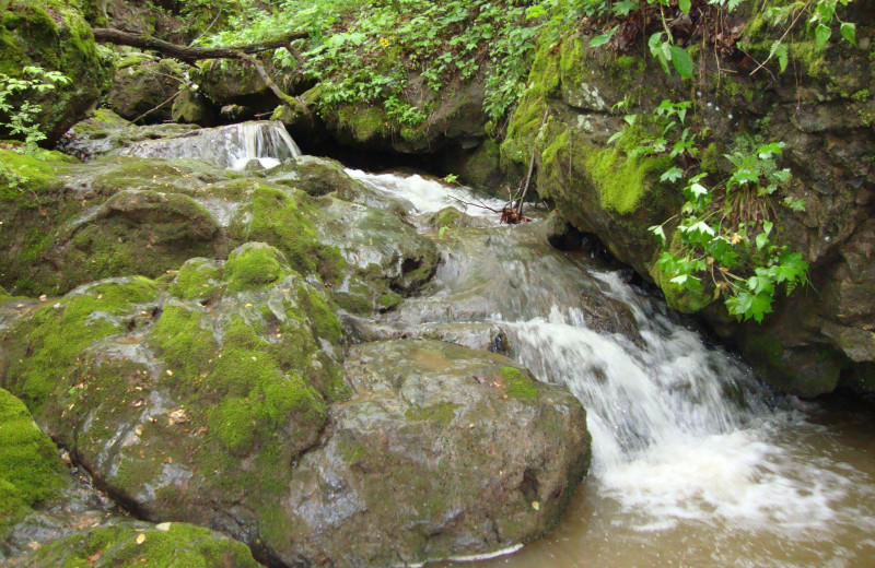 Stream at Bear Trail Cabins.