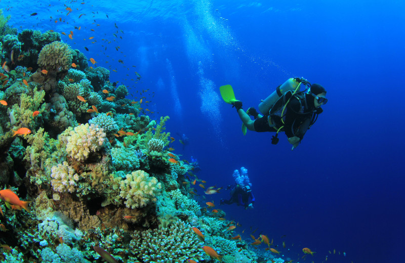 Diving at ValGal Vacation Rentals.