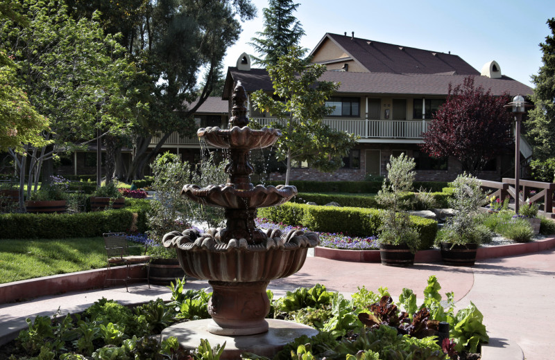 Paso Robles Inn (Paso Robles, CA) Resort Reviews