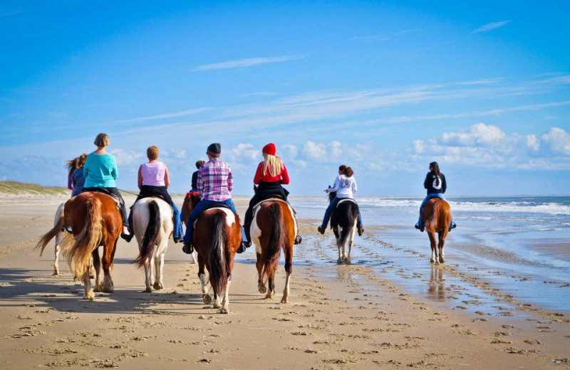 Horseback Ridding On Beach at Hatteras Realty 