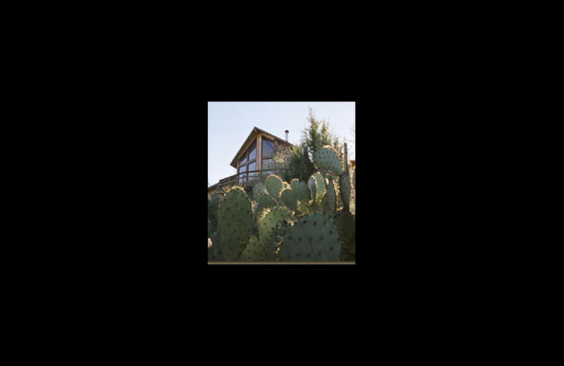 Exterior view of Page Springs Bed & Breakfast.