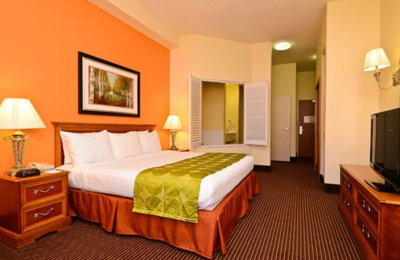 Guest Room at the Fairfield Inn & Suites
