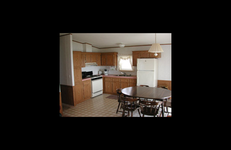 Cabin kitchen at Horseshoe Resort.