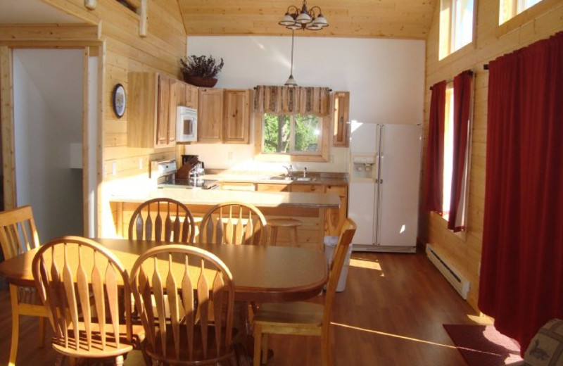 Cabin kitchen at Linden Park Resort.