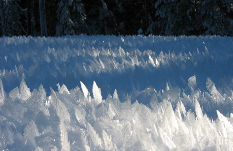 Snow at Silver Spur Outfitters.