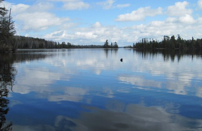Lake view at Log Cabin Hideaways.