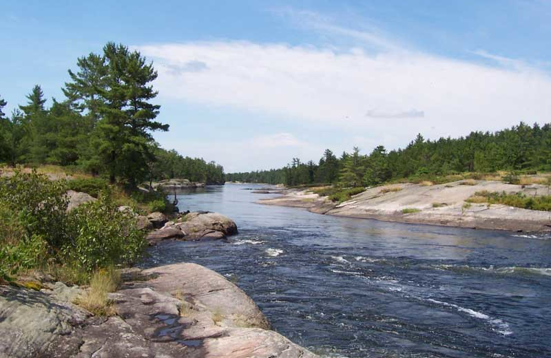 River view at Fishing at Wolseley Lodge.