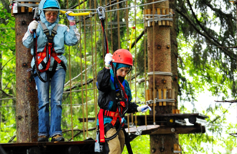 Aerial Adventure at Mountain Lake Hotel