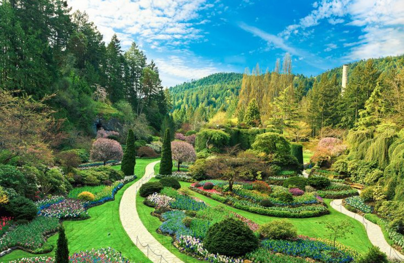 Garden near Humboldt House Bed and Breakfast.